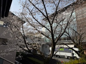 IMG_7538