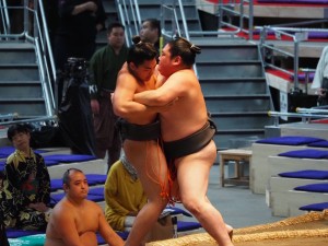 IMG_3644