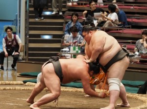 IMG_0556