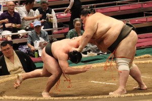 IMG_0583