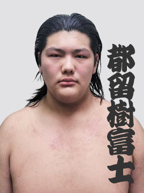 都留樹富士 桐丸